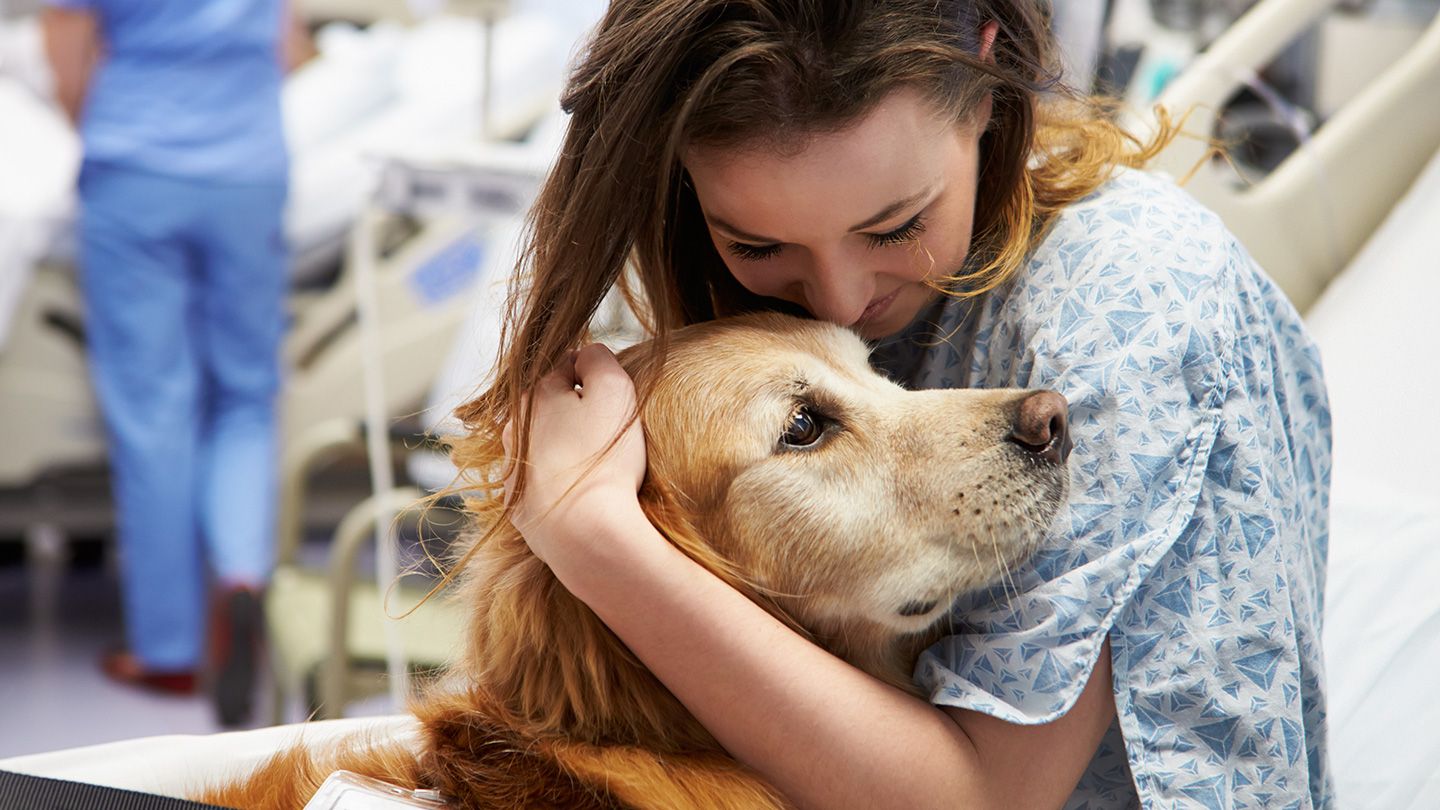 Cystoisosporiasis treatment in dogs